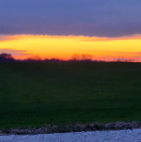 Meet your Posher, Ricky - Picture 1 of 1